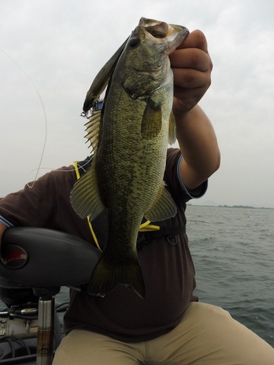 truth smiley_fishing_report ブログ写真 2015/06/13
