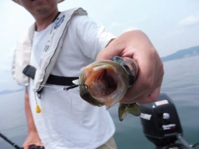 truth smiley_fishing_report ブログ写真 2015/06/15