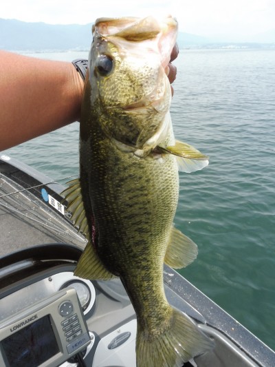 truth smiley_fishing_report ブログ写真 2015/06/17