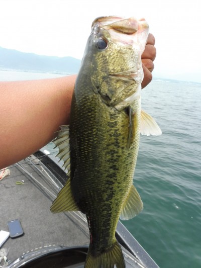 truth smiley_fishing_report ブログ写真 2015/06/17