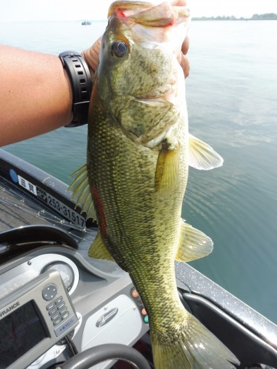 truth smiley_fishing_report ブログ写真 2015/06/17