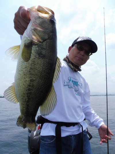 truth smiley_fishing_report ブログ写真 2015/06/17