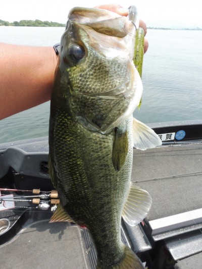 truth smiley_fishing_report ブログ写真 2015/06/17