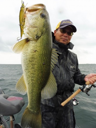 truth smiley_fishing_report ブログ写真 2015/06/18