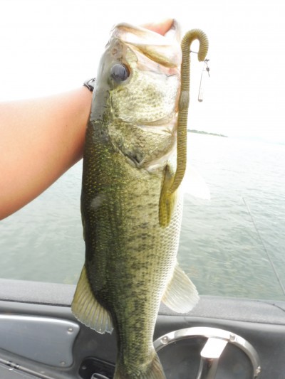 truth smiley_fishing_report ブログ写真 2015/06/22