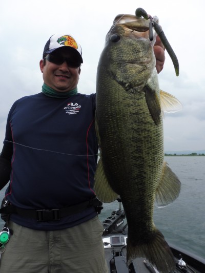 truth smiley_fishing_report ブログ写真 2015/06/22