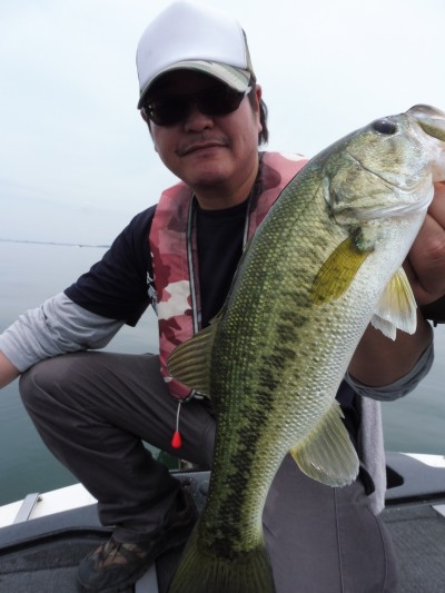 truth smiley_fishing_report ブログ写真 2015/06/22