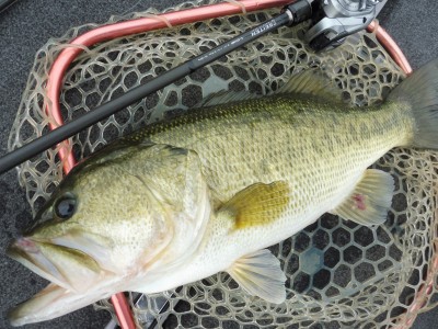 truth smiley_fishing_report ブログ写真 2015/06/25