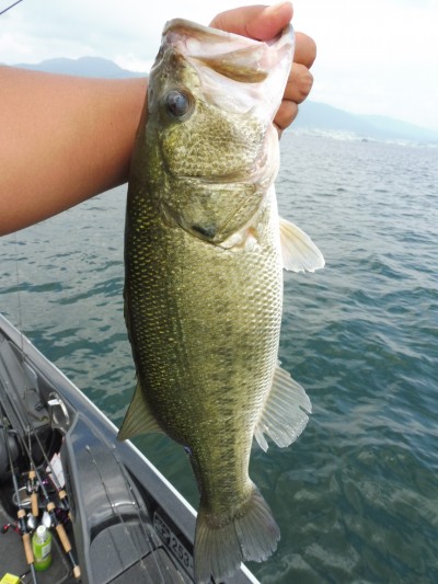 truth smiley_fishing_report ブログ写真 2015/06/25