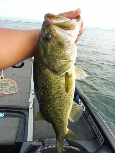 truth smiley_fishing_report ブログ写真 2015/06/25