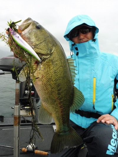 truth smiley_fishing_report ブログ写真 2015/06/26