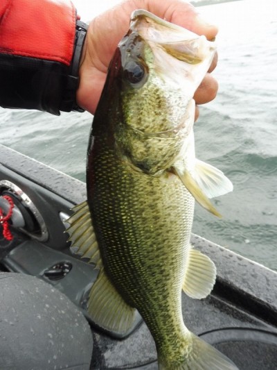 truth smiley_fishing_report ブログ写真 2015/06/26