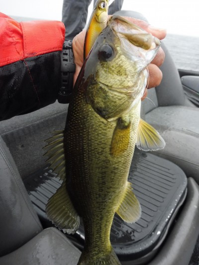 truth smiley_fishing_report ブログ写真 2015/07/01