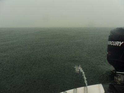 truth smiley_fishing_report ブログ写真 2015/07/01