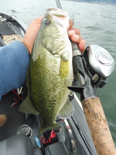 truth smiley_fishing_report ブログ写真 2015/07/01