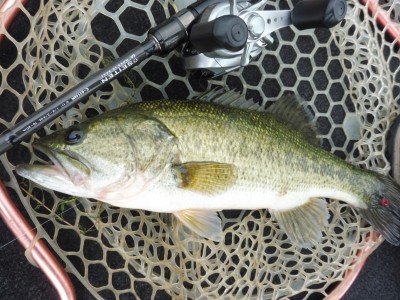 truth smiley_fishing_report ブログ写真 2015/07/01