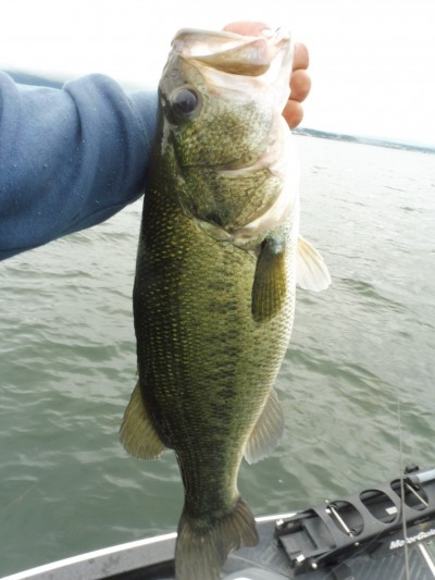 truth smiley_fishing_report ブログ写真 2015/07/01