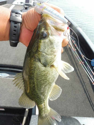 truth smiley_fishing_report ブログ写真 2015/07/02