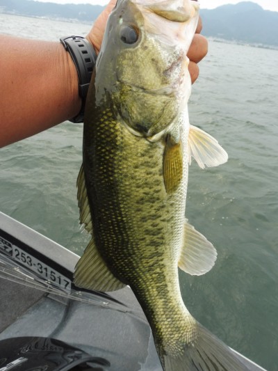 truth smiley_fishing_report ブログ写真 2015/07/02