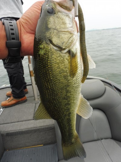 truth smiley_fishing_report ブログ写真 2015/07/02