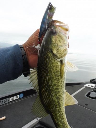 truth smiley_fishing_report ブログ写真 2015/07/02