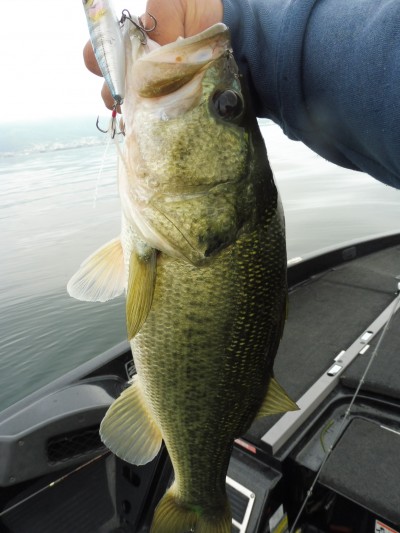 truth smiley_fishing_report ブログ写真 2015/07/02