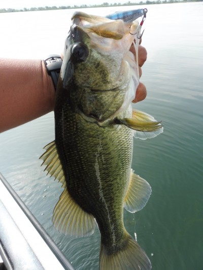 truth smiley_fishing_report ブログ写真 2015/07/02