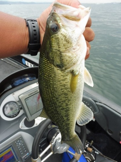 truth smiley_fishing_report ブログ写真 2015/07/04