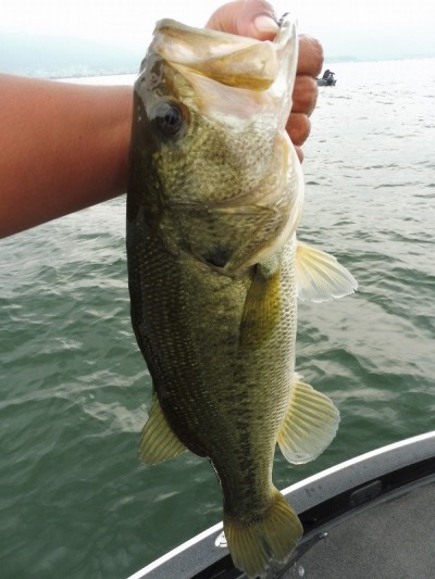 truth smiley_fishing_report ブログ写真 2015/07/04