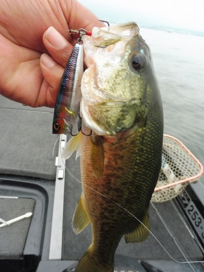 truth smiley_fishing_report ブログ写真 2015/07/04
