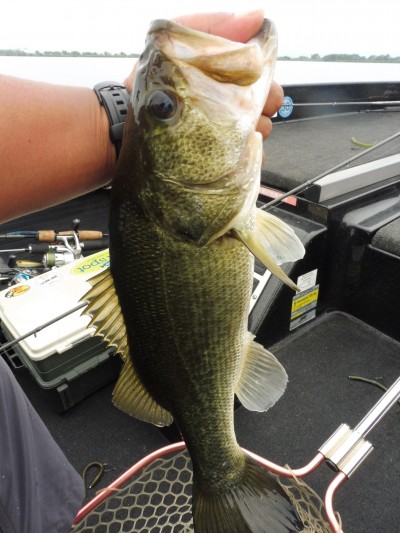 truth smiley_fishing_report ブログ写真 2015/07/05