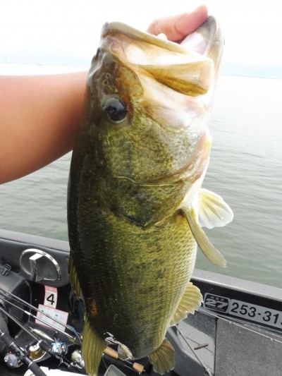 truth smiley_fishing_report ブログ写真 2015/07/05