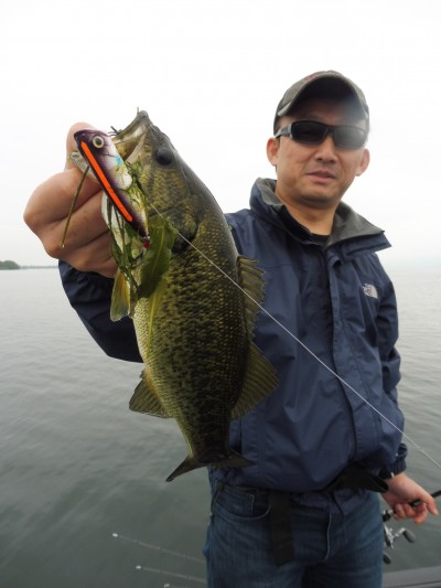 truth smiley_fishing_report ブログ写真 2015/07/06