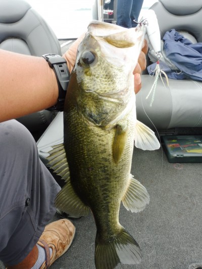 truth smiley_fishing_report ブログ写真 2015/07/06