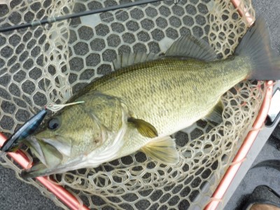 truth smiley_fishing_report ブログ写真 2015/07/06