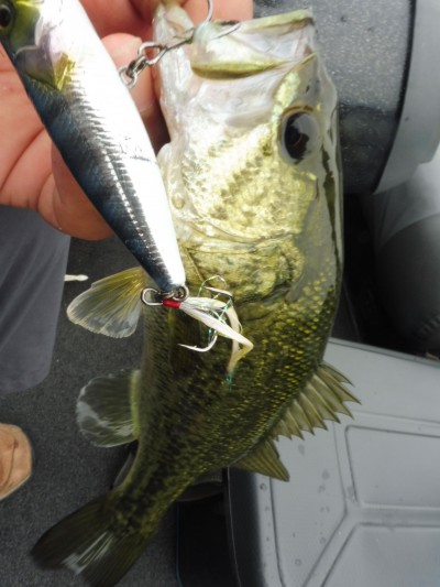 truth smiley_fishing_report ブログ写真 2015/07/06