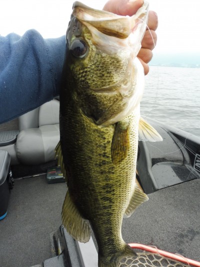 truth smiley_fishing_report ブログ写真 2015/07/06