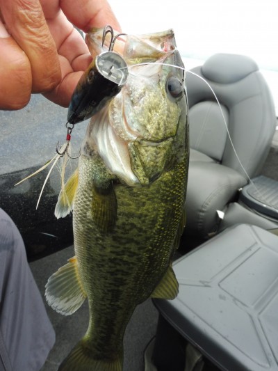 truth smiley_fishing_report ブログ写真 2015/07/06