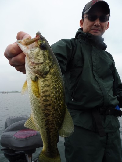 truth smiley_fishing_report ブログ写真 2015/07/06