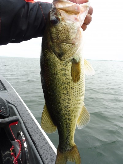 truth smiley_fishing_report ブログ写真 2015/07/06