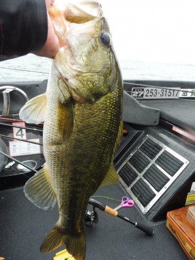 truth smiley_fishing_report ブログ写真 2015/07/07