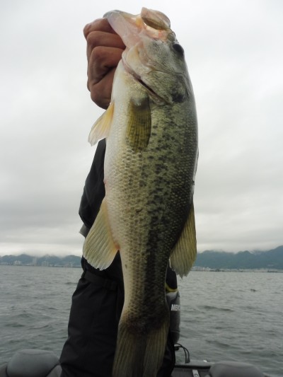 truth smiley_fishing_report ブログ写真 2015/07/07