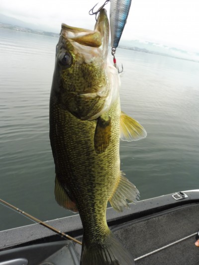 truth smiley_fishing_report ブログ写真 2015/07/07