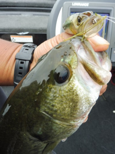 truth smiley_fishing_report ブログ写真 2015/07/07