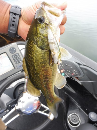 truth smiley_fishing_report ブログ写真 2015/07/07