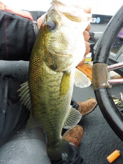 truth smiley_fishing_report ブログ写真 2015/07/07