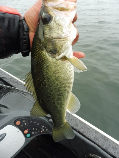 truth smiley_fishing_report ブログ写真 2015/07/07