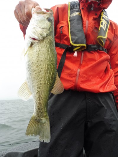 truth smiley_fishing_report ブログ写真 2015/07/07