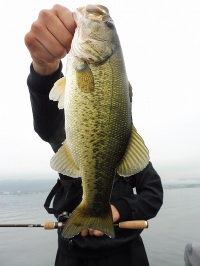 truth smiley_fishing_report ブログ写真 2015/07/08