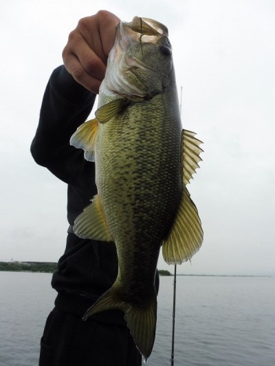 truth smiley_fishing_report ブログ写真 2015/07/08